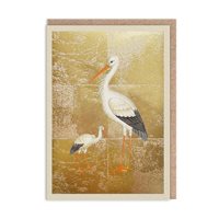 Kort stork