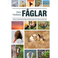 Fåglar : Fågelskådning för nybörjare och entusiaster