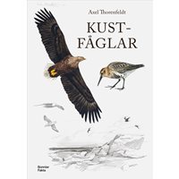 Kustfåglar