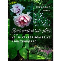 Rätt växt på rätt plats