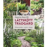 Smarta knep för lättskött trädgård