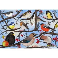 Postcard small birds in trees