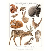 Kort Woodland Animals Greeting Card