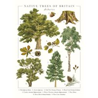 Kort Native Trees Greeting Card