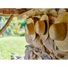 Flavio Hat, Nature, Seagrass 40,50 SEK4