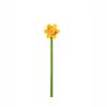 Flower Pencil - Assorted
