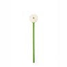 Flower Pencil - Assorted