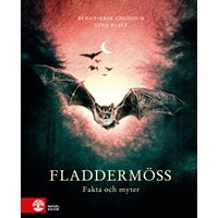 Fladdermöss : fakta och myter