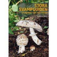 Stora svampguiden