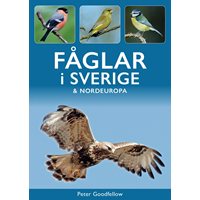Fåglar i Sverige och Nordeuropa