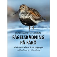 Fågelskådning på Fårö