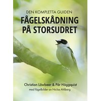 Fågelskådning på Storsudret