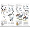 The North American Bird Guide