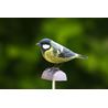 Great tit Wood Carving