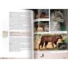 Stuarts' Field Guide to Mammals of Southern Africa (Stuart &