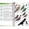 Birds of Madagascar and the Indian Ocean Islands (Hawkins, S