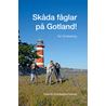 Skåda fåglar på Gotland