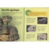 Lätta fakta om reptiler (Berghs)