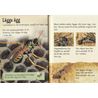 Lätta fakta om bin, humlor & getingar