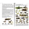Gräshoppor i Sverige - en fälthandbok