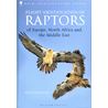 Flight identification of Raptors (Forsman)