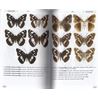 Butterflies of Europe and neighbouring regions (Leraut)