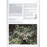 Lichens of Finland (Stenros et al.)
