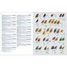 Illustrated Checklist of the Birds of the World. Vol 2 (Passerines)