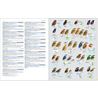 Illustrated Checklist of the Birds of the World vol 2