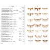 Moths of Europe. Vol. 4 (Leraut)