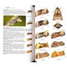 Collins Complete Guide to British Butterflies & Moths