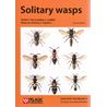 Solitary wasps (Yeo, Corbet) 2 upplagan