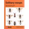 Solitary wasps