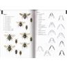 Bumblebees