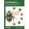 Bumblebees