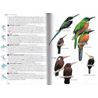Birds of Peru