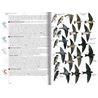 Birds of Peru