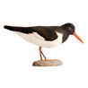 Oystercatcher Wood Carving