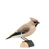 Waxwing Wood Carving