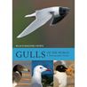 Gulls of the world (Malling Olsen)