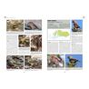 Handbook Western Paleartic Birds 1&2 (Shirihai & Svensson)