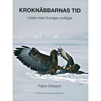 Kroknäbbarnas tid - möten med Sveriges rovfåglar