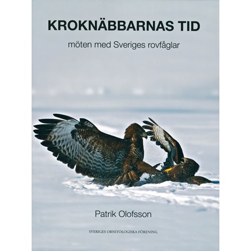 Kroknäbbarnas tid - möten med Sveriges rovfåglar