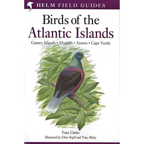 Birds of the Atlantic Islands