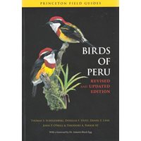 Birds of Peru (Schulenberg...)
