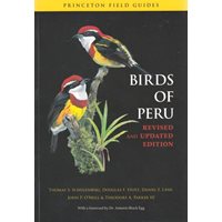 Birds of Peru