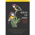 Birds of Peru (Schulenberg...)