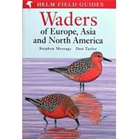 Waders of Europe, Asia and North America (Message & Taylor)