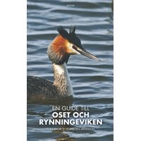 Oset och Rynningeviken (Thor & Arvidsson)