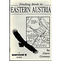 Finding birds in Eastern Austria. Gostours guides.